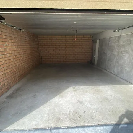 Mesanges - 0401 + Box 1/2