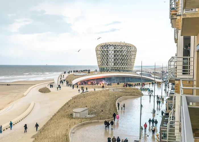 Mesanges - 0401 + Box 1/2 מידלקרק